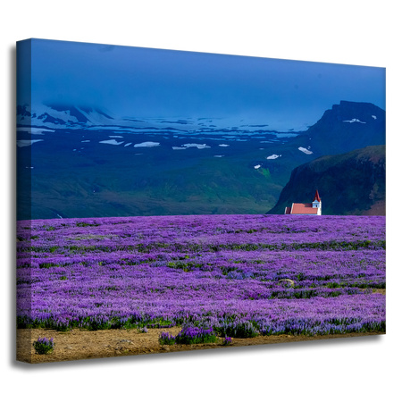 Leinwandgemälde Natur Lavendelfeld 40x30 cm