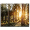 Leinwandgemälde Birken Bäume Sonnenmorgen 100x80 cm