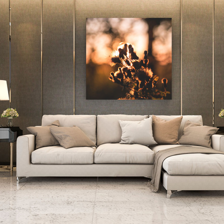 Leinwandgemälde Botanischer Morgen 40x40 cm