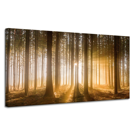Leinwandgemälde Sonne im Wald Baumlicht 120x60 cm