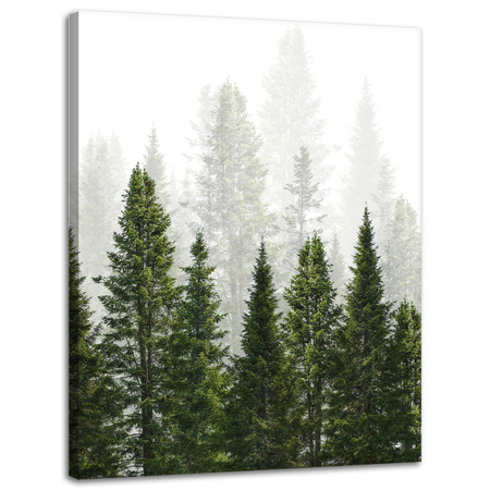 Leinwandgemälde Regenwald Natur Bäume 30x40 cm