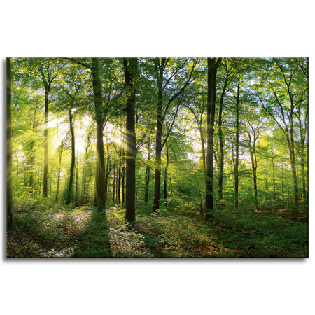 Leinwanddruck Sonne, Wald, Bäume, Lichtstrahlen, 60x40 cm