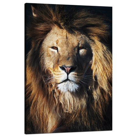 Leinwandgemälde Löwenmähnengesicht Wildness 80x120 cm