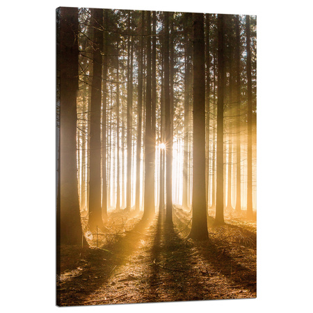 Leinwandgemälde Sonne im Wald Baumlicht 80x120 cm