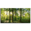 Leinwanddruck Sonne, Wald, Bäume, Lichtstrahlen, 120x60 cm