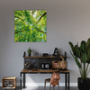 Leinwandgemälde Bäume Blätter Natur Wald Frühling 40X40 cm