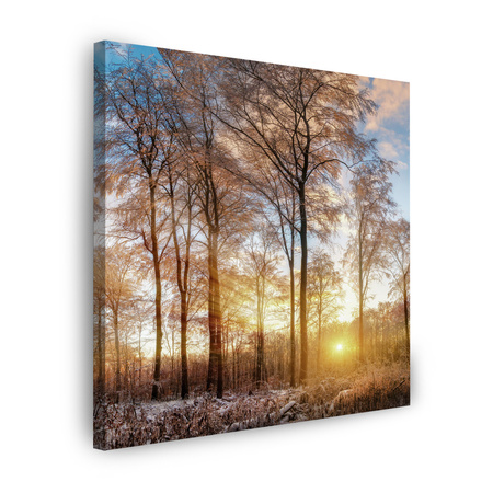 Leinwandgemälde Bäume Winter aufgehende Sonne 50X50 cm