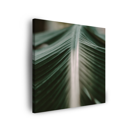 Leinwandgemälde Natur Palmblatt 90x90