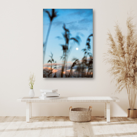 Bild auf Leinwand Nature Glade Meadow Sunrise 80x120