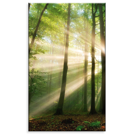 Leinwandgemälde Sonne im Wald Bäume Natur 60x100 cm