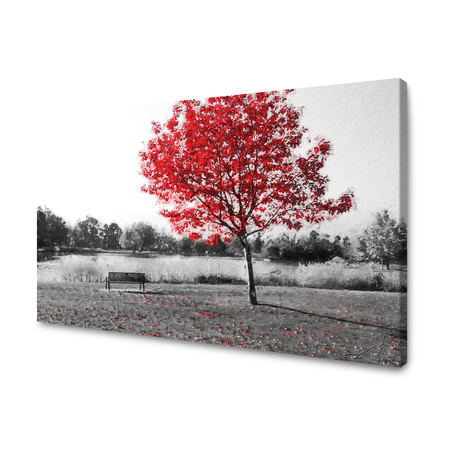 Bild auf Leinwand Grau-Rot-Blätter-Kontrast 120x70 cm