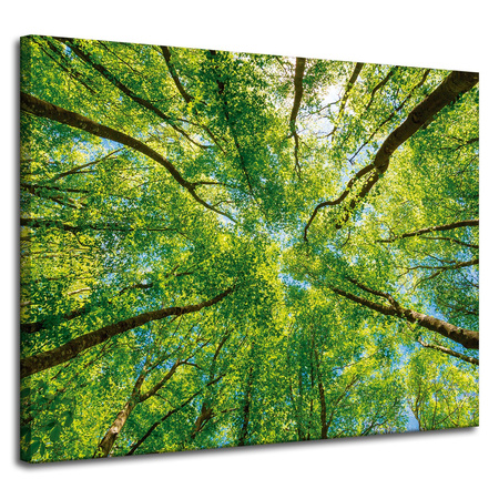 Leinwandgemälde Bäume Blätter Natur Wald Frühling 100x80 cm