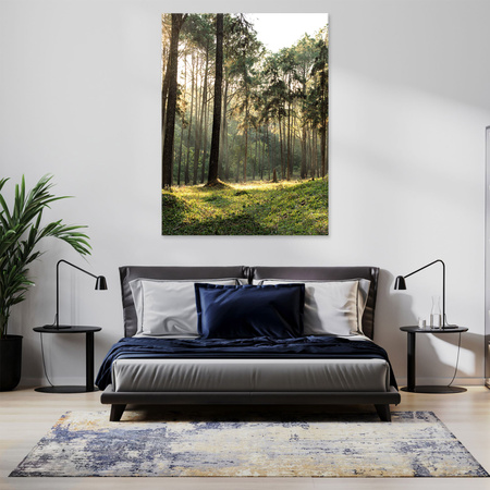 Leinwanddruck Wald Bäume Sonne Natur 70x120 cm