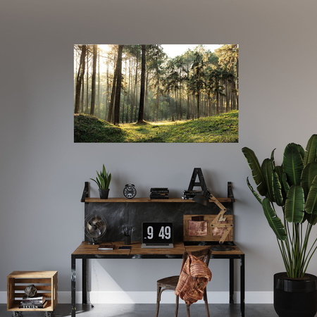 Leinwanddruck Wald Bäume Sonne Natur 120x70 cm