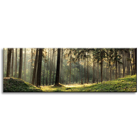 Leinwanddruck Wald Bäume Sonne Natur 120x40 cm