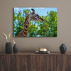 Leinwanddruck Tiere Giraffe 40x30 cm