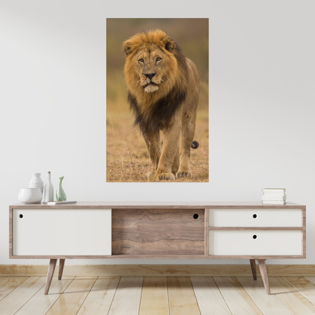 Leinwandgemälde Löwe Natur Savannah Wildness 80x120 cm