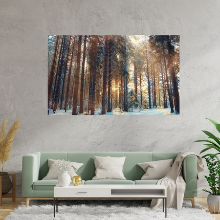 Leinwanddruck Wald Winter Schneewittchen Natur 120x80 cm