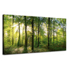 Leinwanddruck Sonne, Wald, Bäume, Lichtstrahlen, 120x60 cm