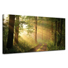 Leinwandgemälde Sonnenlicht Waldweg Natur 120x60 cm