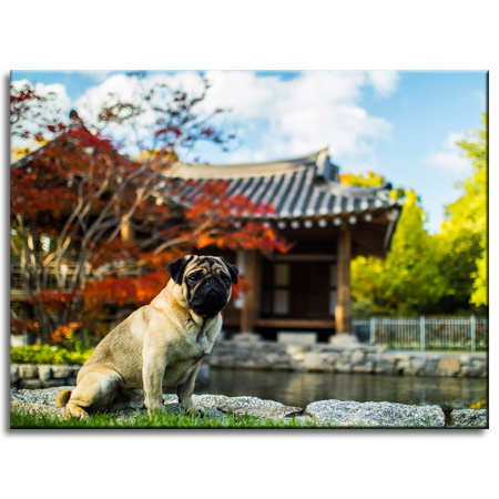 Leinwandgemälde Tiere Hund_2 40x30 cm