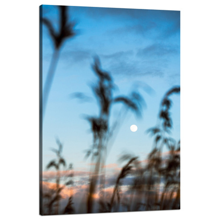 Bild auf Leinwand Nature Glade Meadow Sunrise 80x120