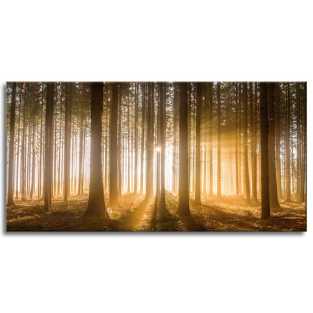 Leinwandgemälde Sonne im Wald Baumlicht 120x60 cm