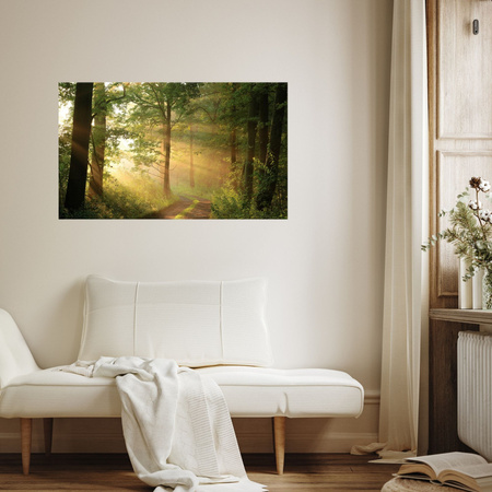 Leinwandgemälde Sonnenlicht Waldweg Natur 70x50 cm