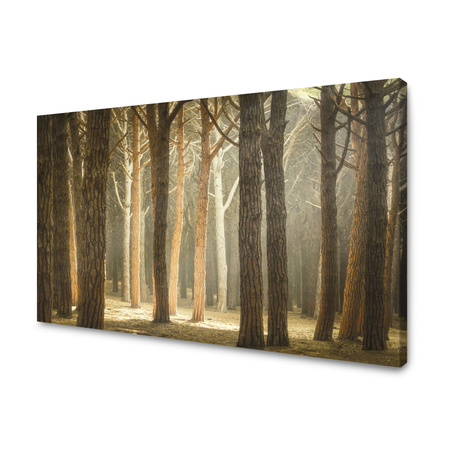 Leinwandgemälde Bäume Licht Natur Wald 120x80 cm