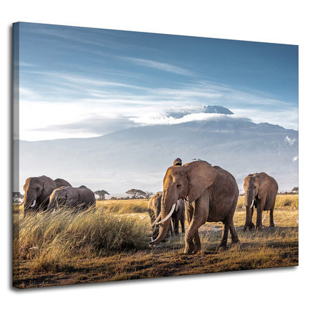 Leinwandgemälde Wandering Elephants Mountain Savannah Natural Environment 100x80 cm