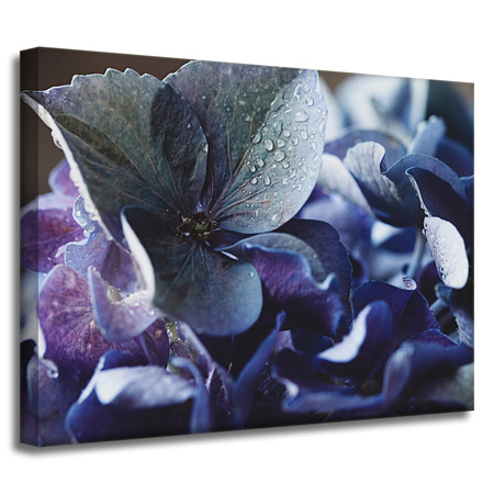Leinwandgemälde Botanik Blaue Hortensie 40x30 cm