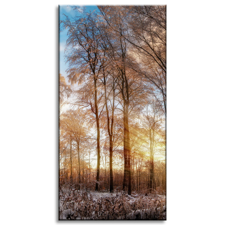 Leinwandgemälde Bäume Winter aufgehende Sonne 60x120 cm