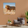Leinwandgemälde Löwe geht auf dem Savannengras 90X90 cm