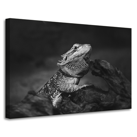 Leinwandgemälde Eidechse Reptil Schwarz und Weiß Natur 90x60
