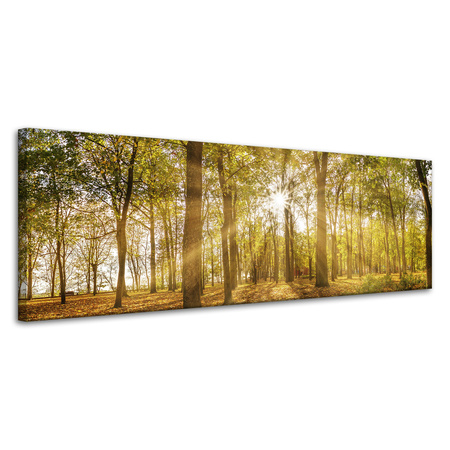 Leinwandgemälde Sonne zwischen Bäumen im Wald 120x40 cm