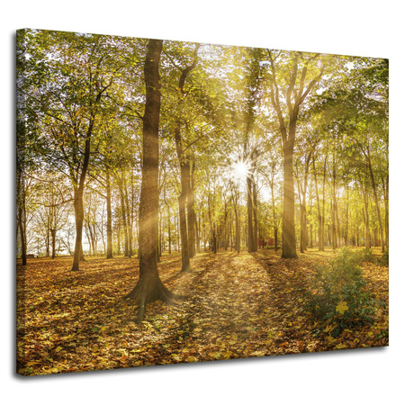 Leinwandgemälde Sonne zwischen Bäumen im Wald 100x80 cm