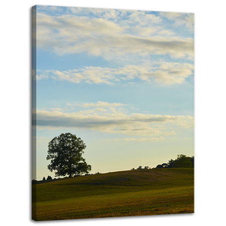 Leinwandgemälde Naturbaum in einem Feld 30x40 cm