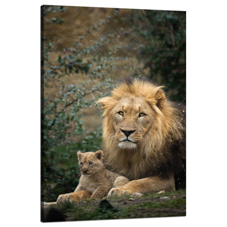 Leinwandgemälde Löwe und Löwenjunges Natur Bäume Natur 80x120 cm
