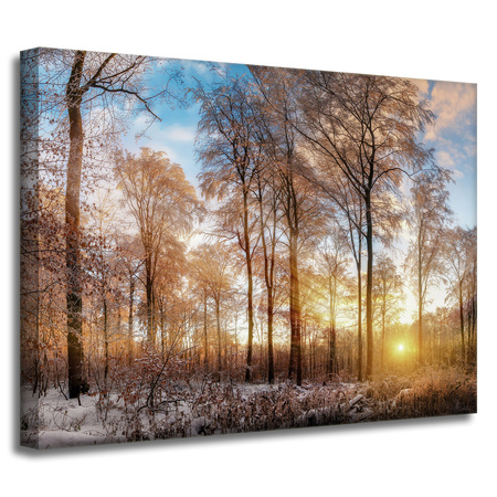 Leinwandgemälde Bäume Winter aufgehende Sonne 40x30 cm