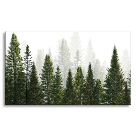 Leinwandgemälde Regenwald Natur Bäume 70x50 cm