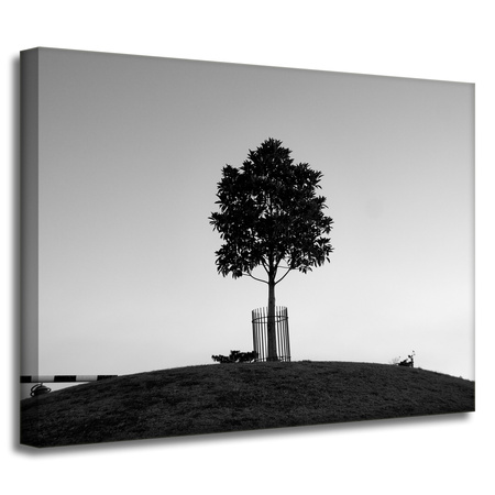 Leinwandgemälde Naturbaum 40x30 cm