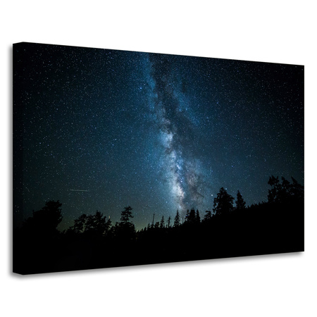 Leinwandgemälde Space Night Forest Nebula 90x60