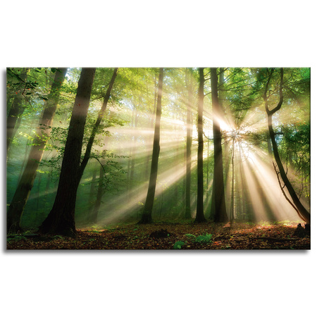 Leinwandgemälde Sonne im Wald Bäume Natur 100x60 cm