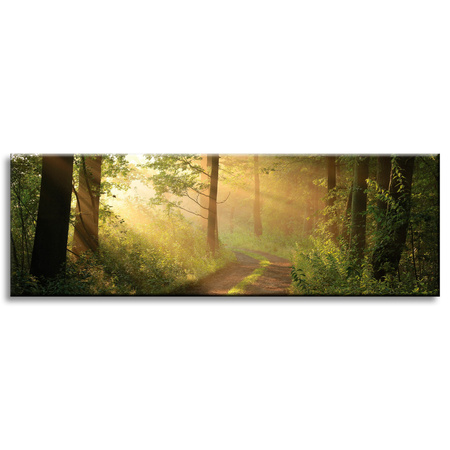 Leinwandgemälde Sonnenlicht Waldweg Natur 120x40 cm