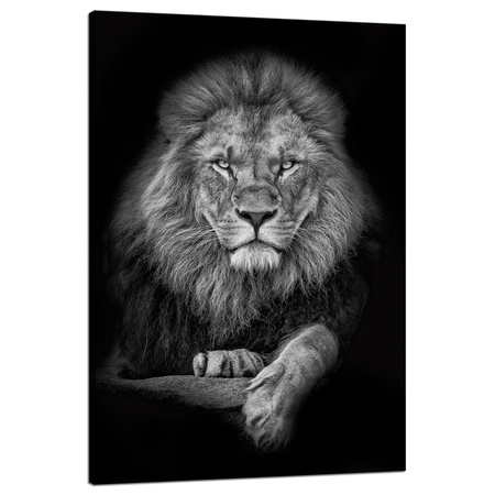 Leinwandgemälde Graues Löwengesicht Pose King 80x120 cm