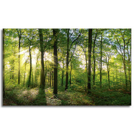 Leinwanddruck Sonne, Wald, Bäume, Lichtstrahlen, 100x60 cm