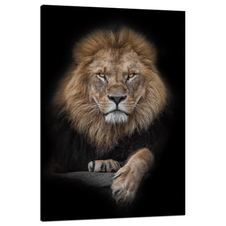 Leinwandgemälde Graues Löwengesicht Wildness 80x120 cm