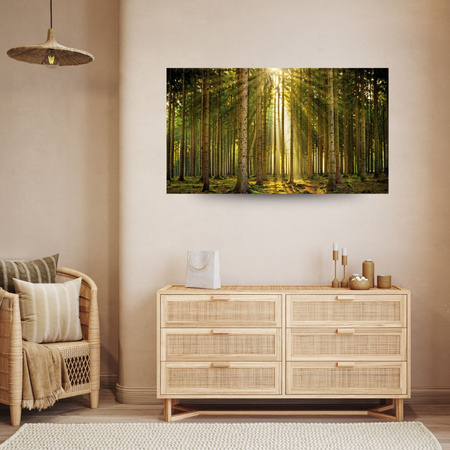 Leinwanddruck Wald Bäume Sonne Natur Frühling 120x80 cm