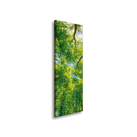 Leinwandgemälde Bäume Blätter Natur Wald Frühling 40x120 cm