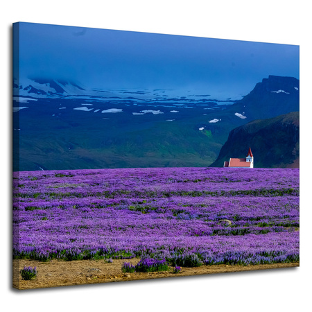 Leinwandgemälde Natur Lavendelfeld 100x80 cm